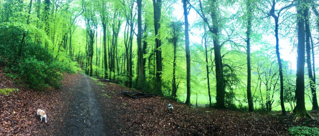 Greencourt Loft - The Cotswold Way, Stroud Ryeford Ngoại thất bức ảnh